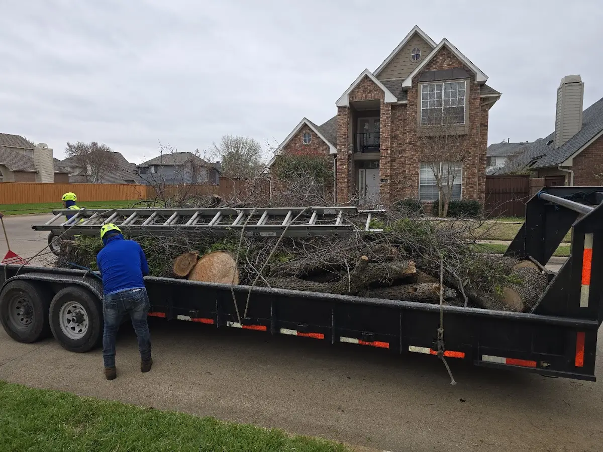 Expert Tree Fertilization with proper safety equipment in Packwaukee